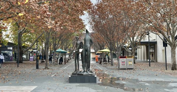 Canberra’s empty shopfronts need some love - here's an easy fix
