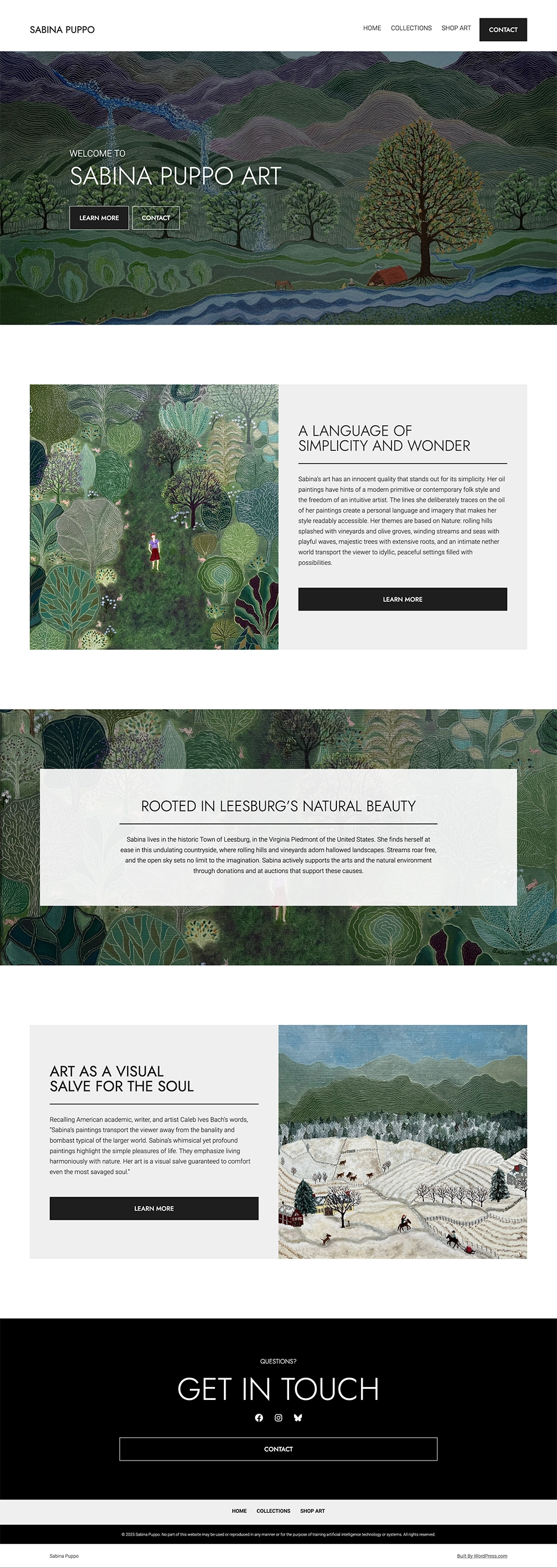 An example of a website build by WordPress.com Express Website Design Service.