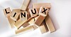 Wooden blocks with the letters L, I, N, U and X on a white background.