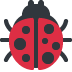 Lady beetle 🐞