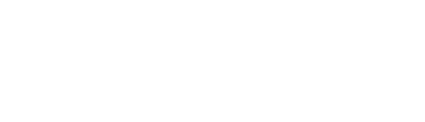Chiara Ferragni Brand