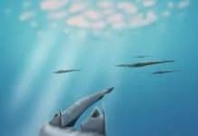 Hybodus