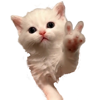 @jkk442