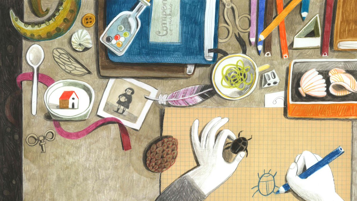 Hands drawing a beetle, on a desk full of shells and feathers, coloured pencils, photos and elastic bands