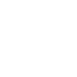 municipio